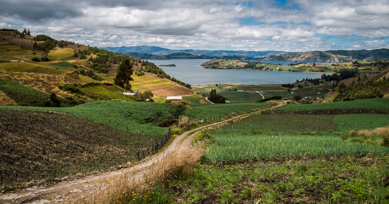 Colombia cuenta con nuevas Oficinas Municipales de Tierras