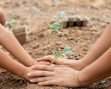 Manos de mujeres sobre un campo